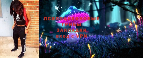 индика Арсеньев