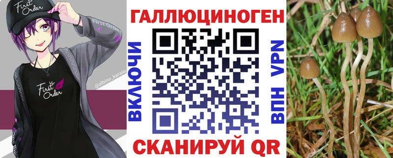 это Telegram  Алдан  Псилоцибиновые грибы GOLDEN TEACHER 
